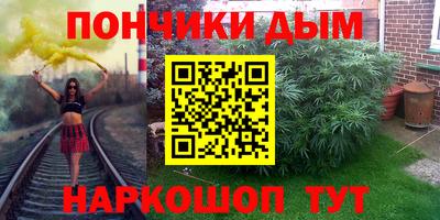шишки Камышлов