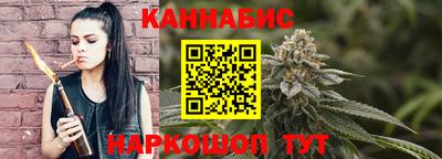 шишки Камышлов