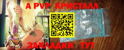 шишки Камышлов