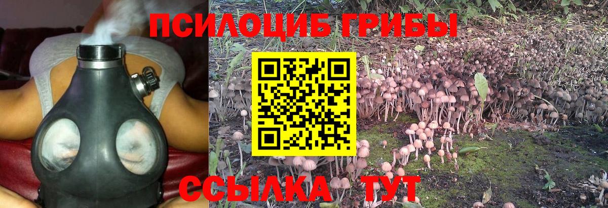 Лесосибирск  Галлюциногенные грибы GOLDEN TEACHER  Вход с VPN 