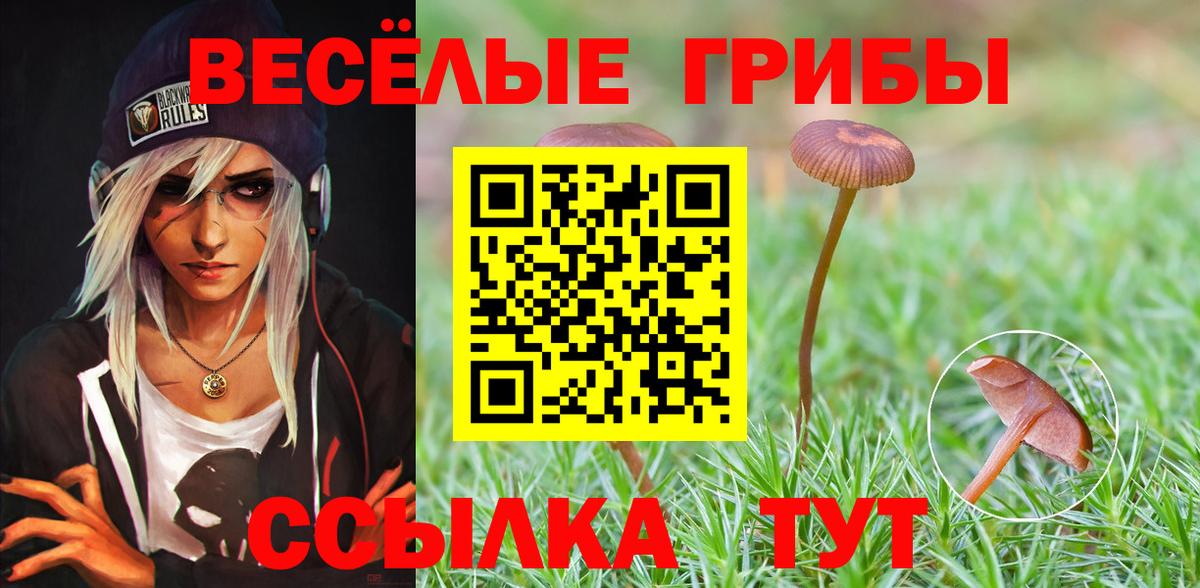 Галлюциногенные грибы MAGIC MUSHROOMS Лесосибирск